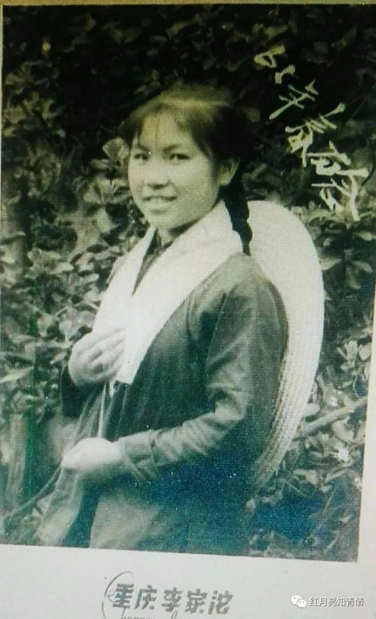 小狗啃石头喂什么微量元素（小狗啃石头怎么办）-硒宝网