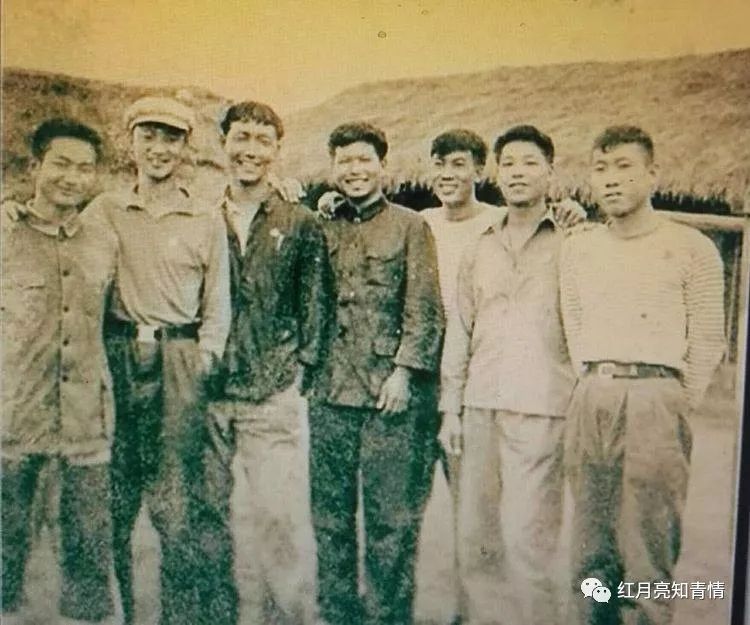 小狗啃石头喂什么微量元素（小狗啃石头怎么办）-硒宝网