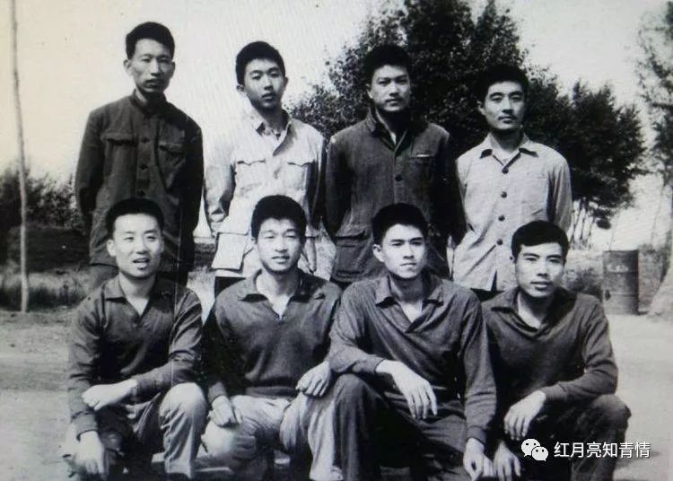 小狗啃石头喂什么微量元素（小狗啃石头怎么办）-硒宝网