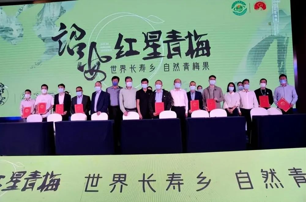 诏安富硒八仙茶的功效（福建八仙茶）-硒宝网