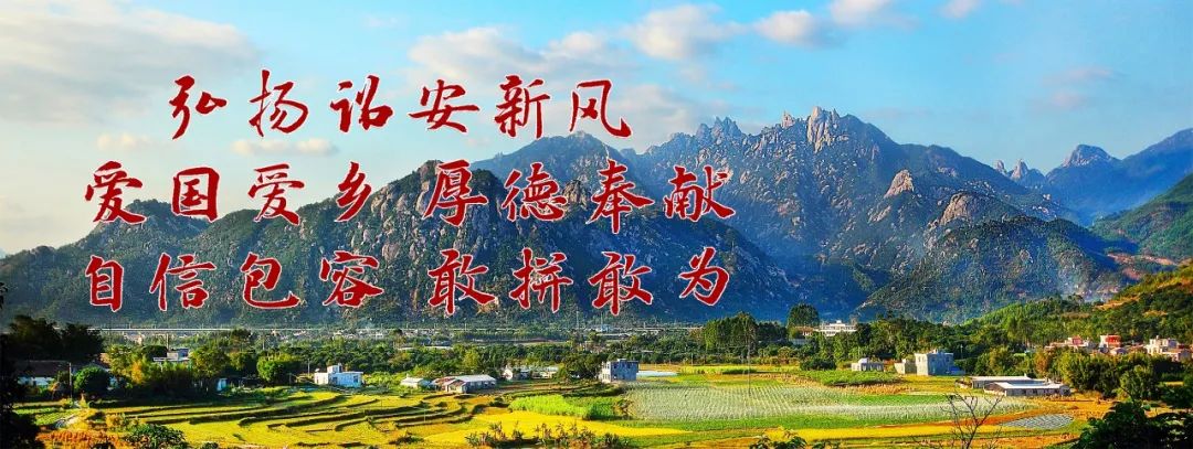 诏安富硒八仙茶的功效（福建八仙茶）-硒宝网