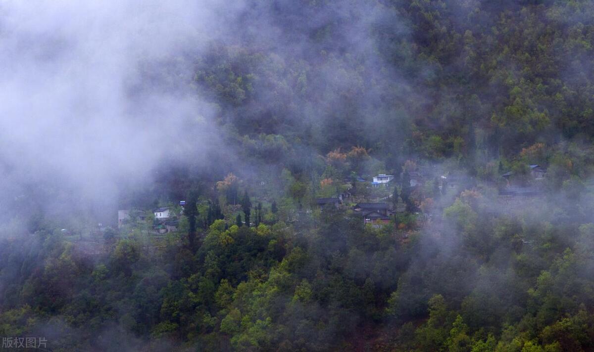 富硒茶有用吗能减肥吗（硒减肥）-硒宝网