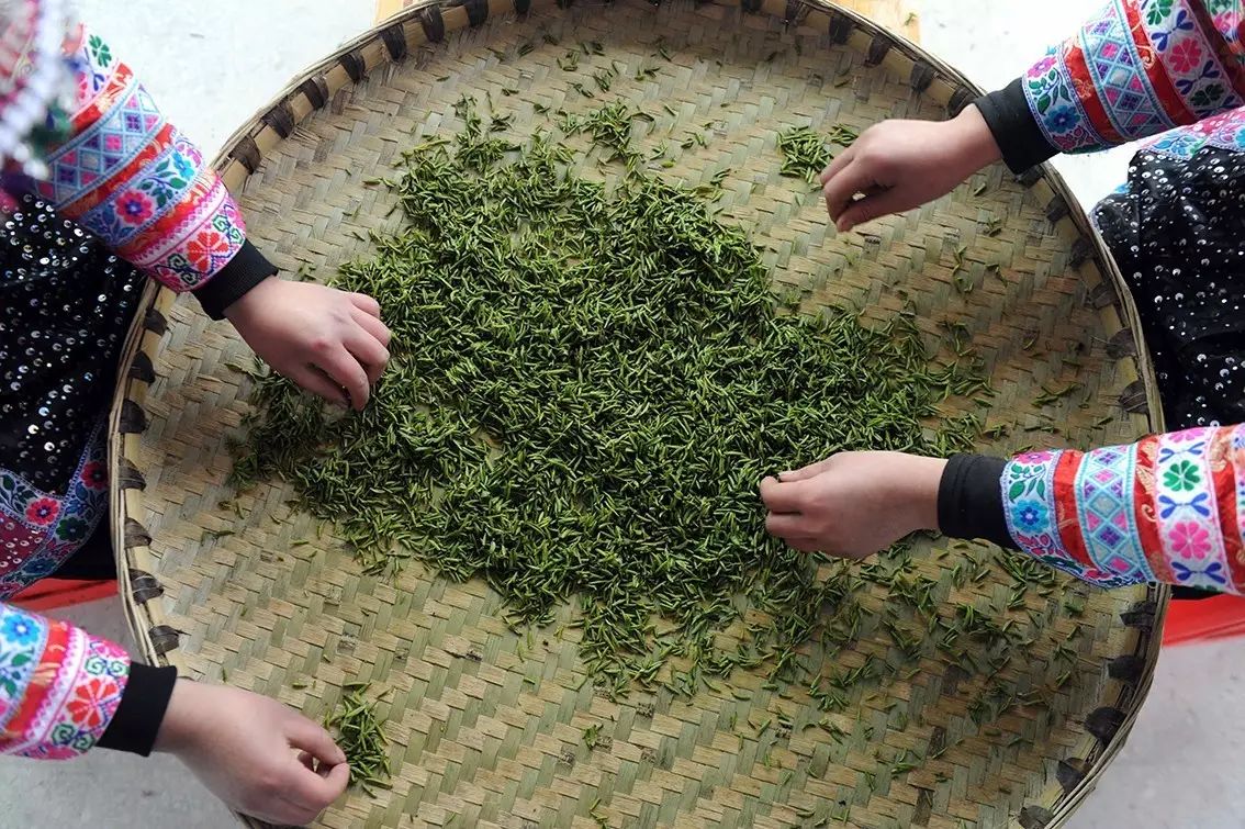 九龙饮苗家富硒茶价格(九龙茶源)-硒宝网