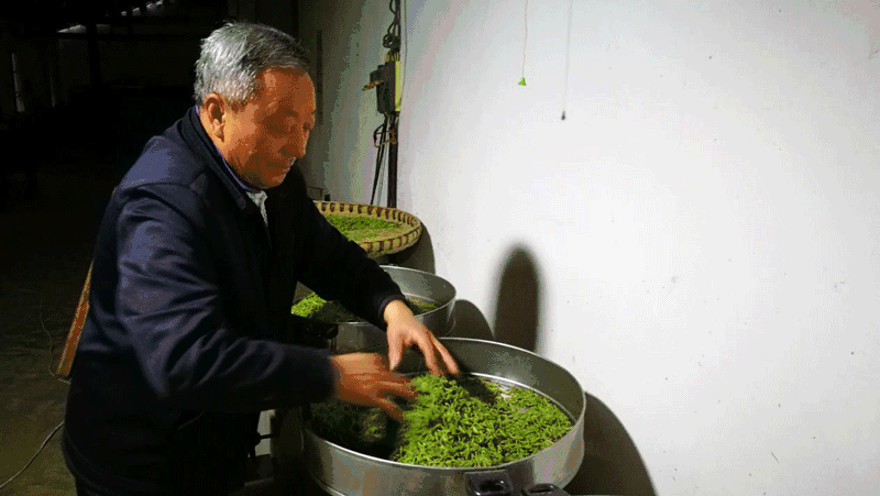 九龙饮苗家富硒茶价格(九龙茶源)-硒宝网