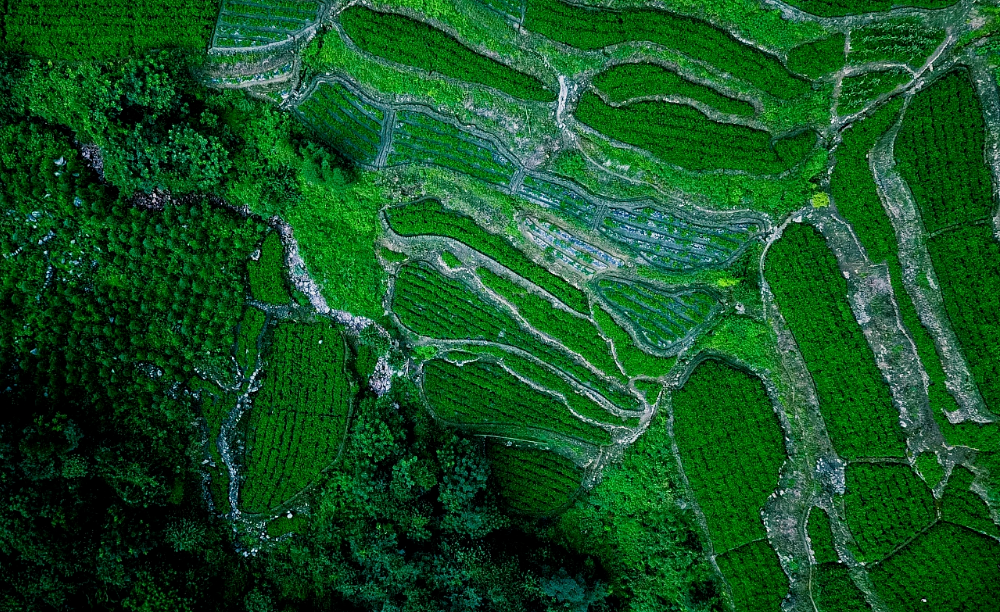 哺乳期可以吃富硒莓茶(哺乳期能吃富硒鸡蛋吗)-硒宝网