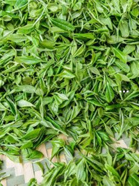 高山富硒茶一天喝多少(高山喝茶一天富硒多少克)-硒宝网