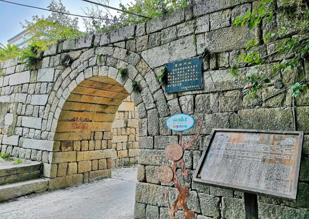 诏安富硒八仙茶的功效(八仙茶的价格)-硒宝网