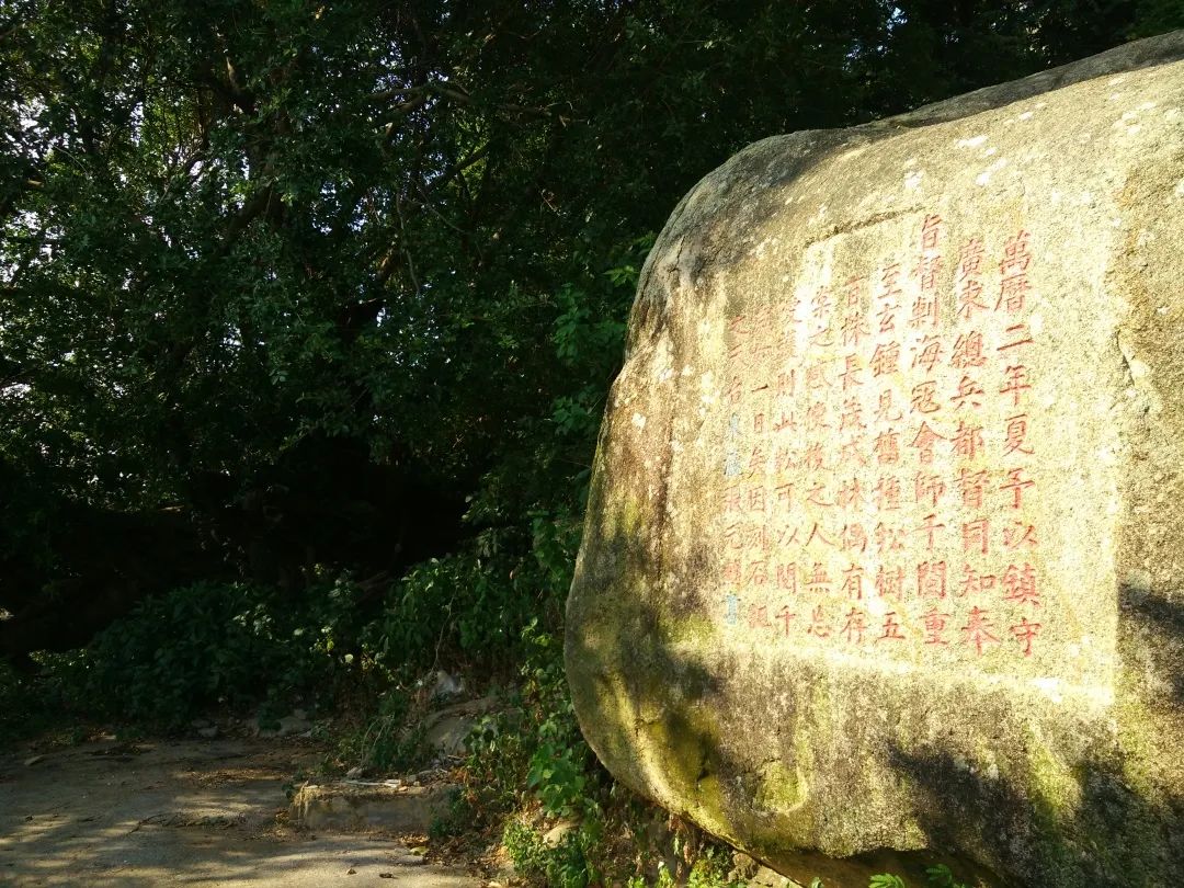 诏安富硒八仙茶的功效(八仙茶的价格)-硒宝网