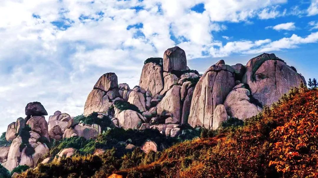 诏安富硒八仙茶的功效(八仙茶的价格)-硒宝网