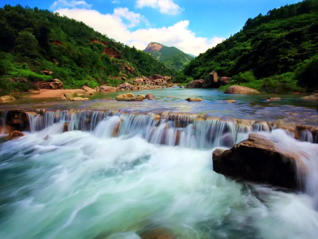 诏安富硒八仙茶的功效(八仙茶的价格)-硒宝网