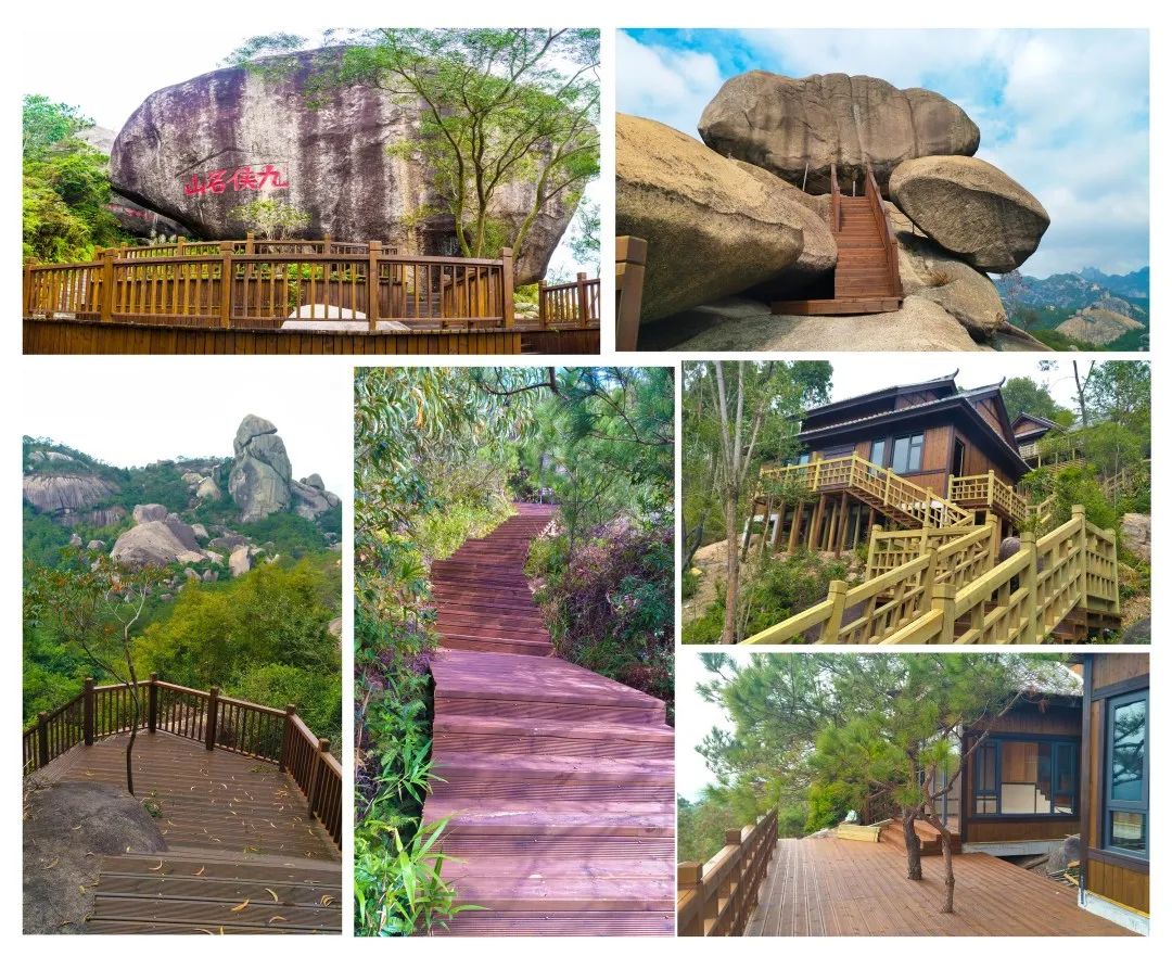 诏安富硒八仙茶的功效(八仙茶的价格)-硒宝网