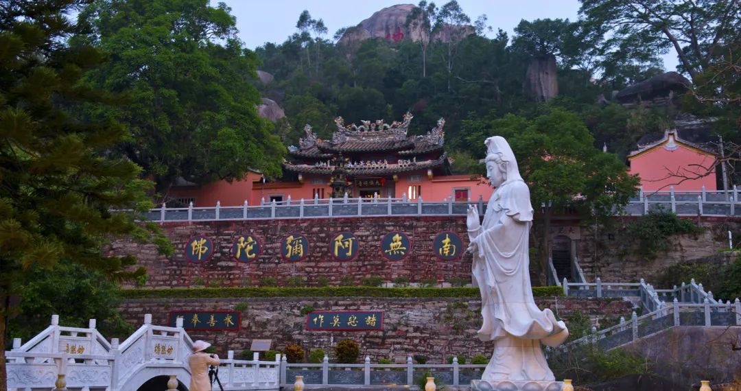 诏安富硒八仙茶的功效(八仙茶的价格)-硒宝网