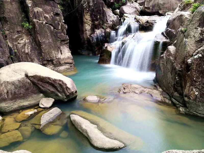 诏安富硒八仙茶的功效(八仙茶的价格)-硒宝网