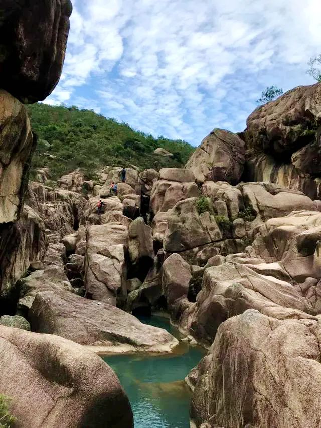 诏安富硒八仙茶的功效(八仙茶的价格)-硒宝网