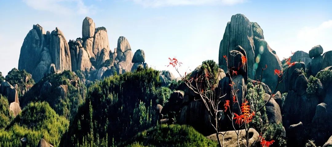 诏安富硒八仙茶的功效(八仙茶的价格)-硒宝网