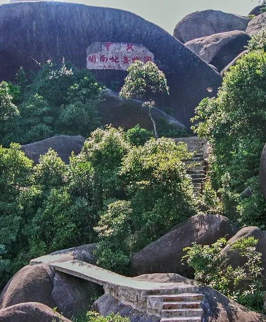 诏安富硒八仙茶的功效(八仙茶的价格)-硒宝网