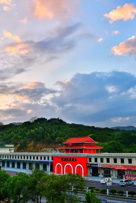 诏安富硒八仙茶的功效(八仙茶的价格)-硒宝网