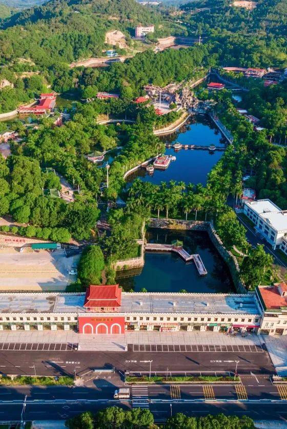 诏安富硒八仙茶的功效(八仙茶的价格)-硒宝网