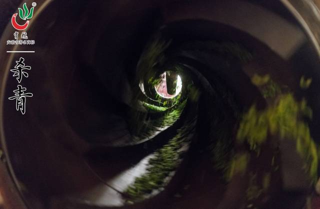 霄坑富硒茶大叶马兰枝(霄坑富硒野生茶)-硒宝网