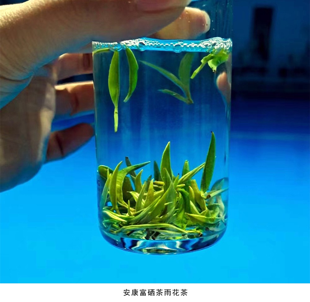 万源富硒茶有几种口味(万源富硒茶多少钱一斤)-硒宝网