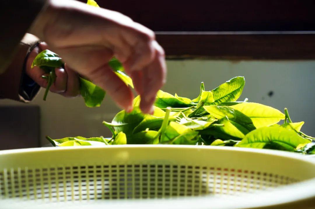 富硒茶搭配什么一起喝(喝富硒茶的好处)-硒宝网