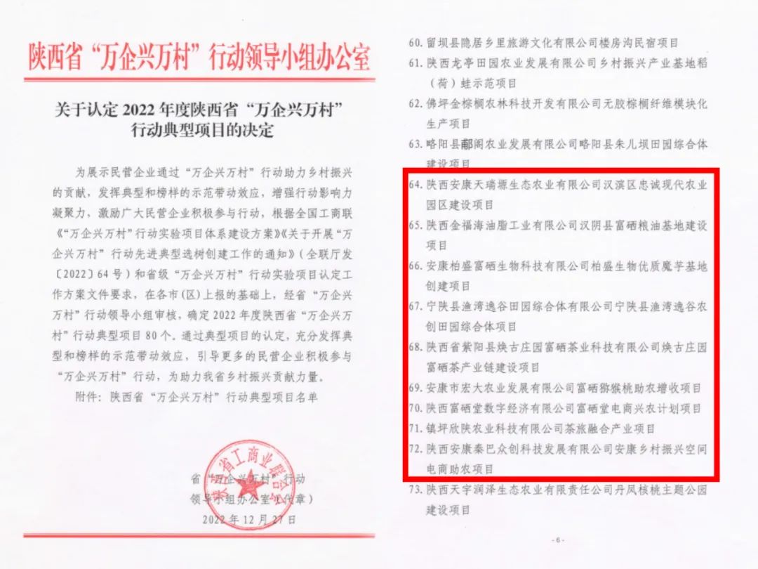 紫阳富硒茶苗怎么样养(紫阳富硒茶品种)-硒宝网