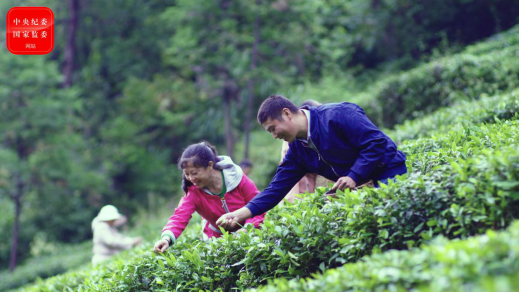 恩施富硒茶写一篇作文（恩施富硒茶市场定位分析）-硒宝网