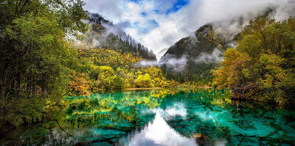 珂田仙寓山富硒茶安徽(安徽省仙寓山)-硒宝网