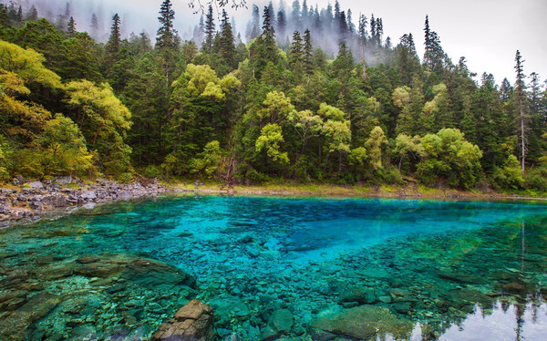 珂田仙寓山富硒茶安徽(安徽省仙寓山)-硒宝网