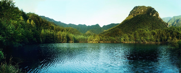 珂田仙寓山富硒茶安徽(安徽省仙寓山)-硒宝网