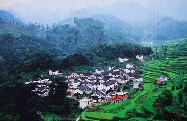 珂田仙寓山富硒茶安徽(安徽省仙寓山)-硒宝网