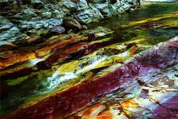 珂田仙寓山富硒茶安徽(安徽省仙寓山)-硒宝网