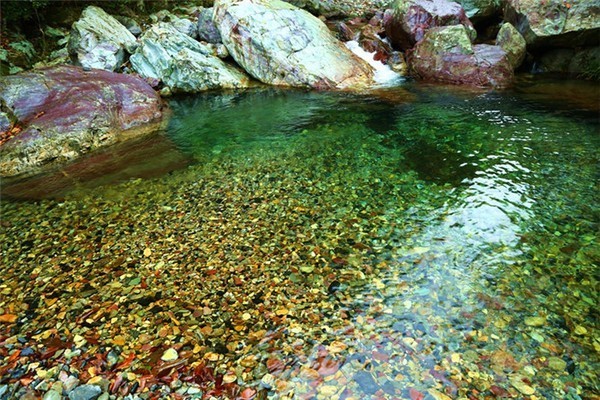 珂田仙寓山富硒茶安徽(安徽省仙寓山)-硒宝网