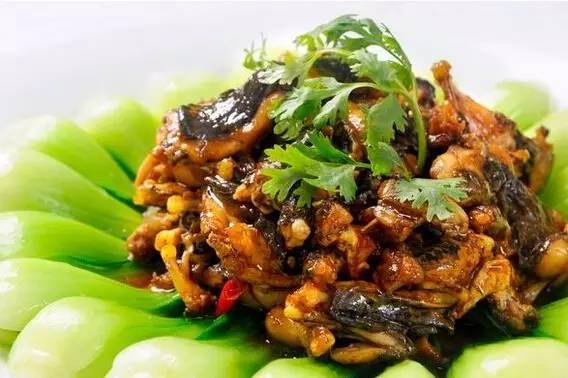 珂田仙寓山富硒茶安徽(安徽省仙寓山)-硒宝网