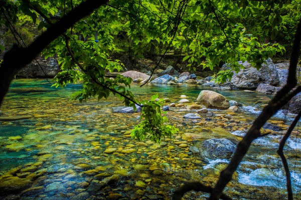 珂田仙寓山富硒茶安徽(安徽省仙寓山)-硒宝网