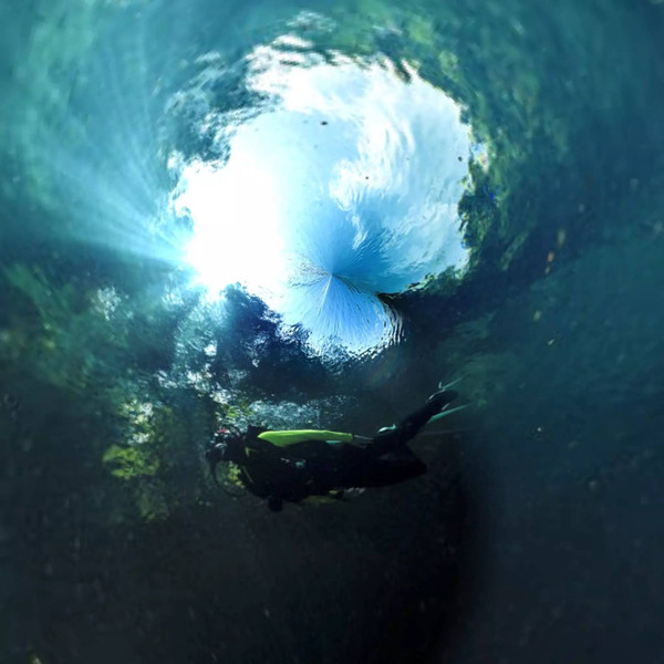 珂田仙寓山富硒茶安徽(安徽省仙寓山)-硒宝网