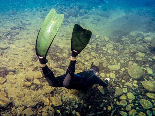 珂田仙寓山富硒茶安徽(安徽省仙寓山)-硒宝网