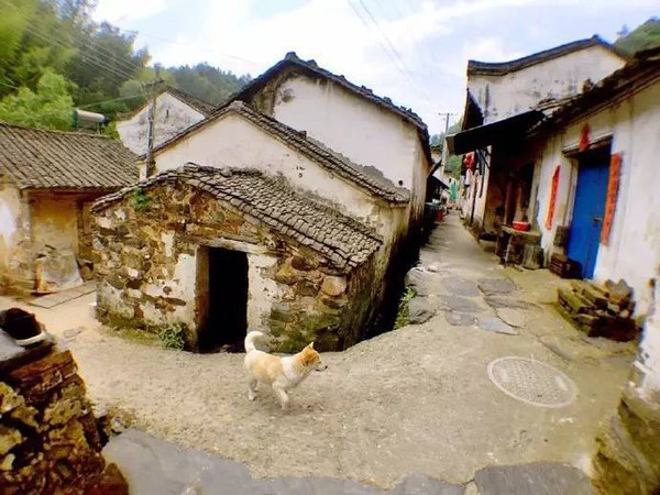 珂田仙寓山富硒茶安徽(安徽省仙寓山)-硒宝网