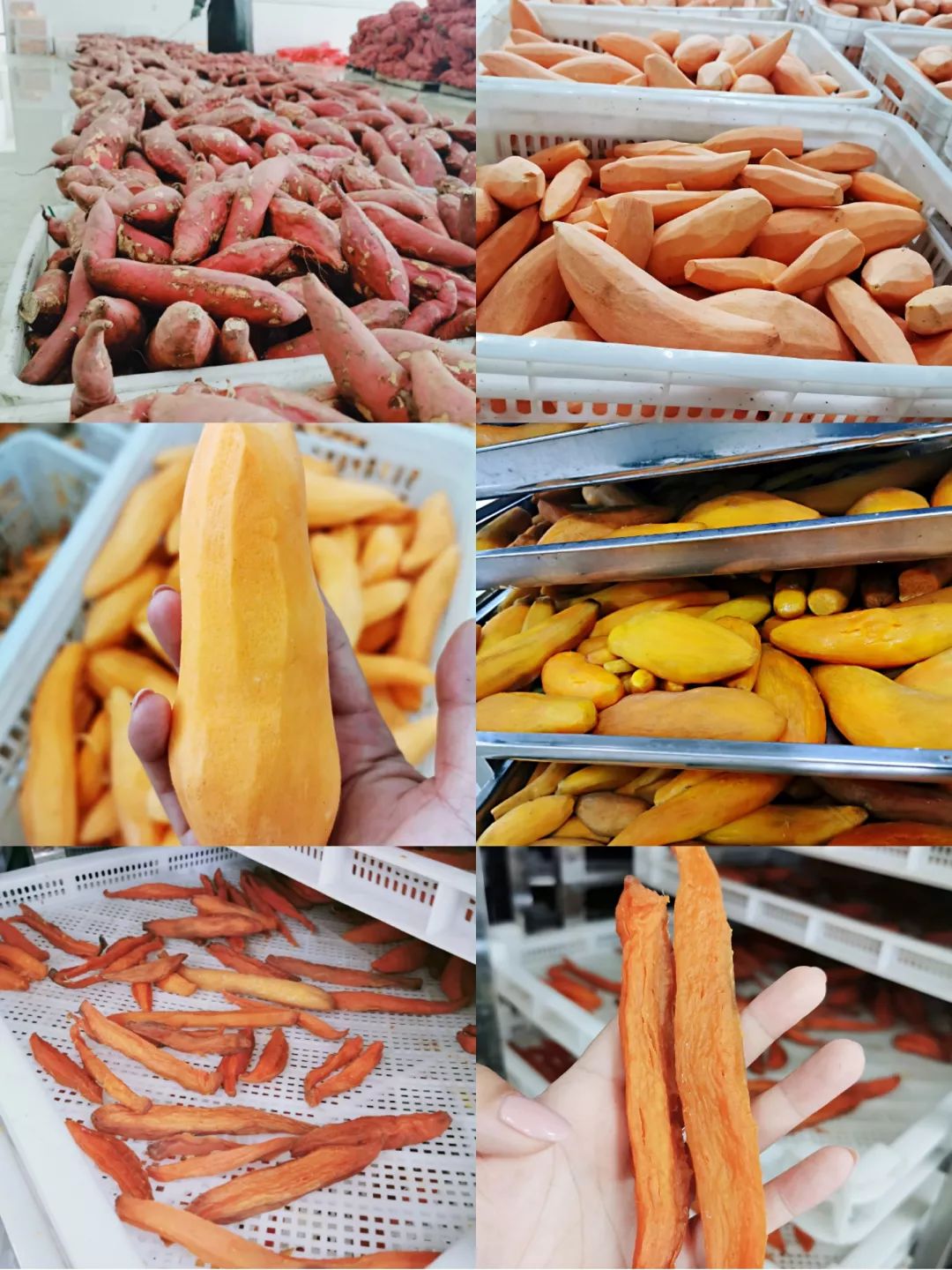 富硒藤茶不发酵能喝吗(发酵能喝富硒藤茶吗)-硒宝网