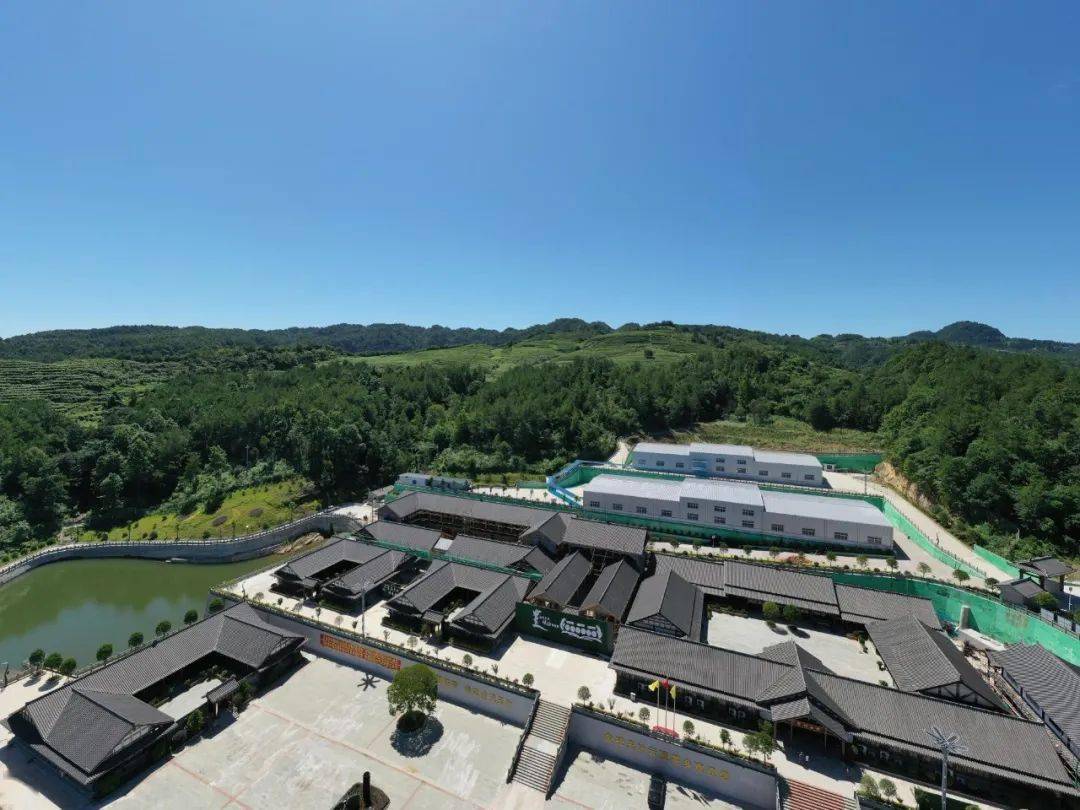 四川南江小田村富硒茶(四川南江县小田村)-硒宝网