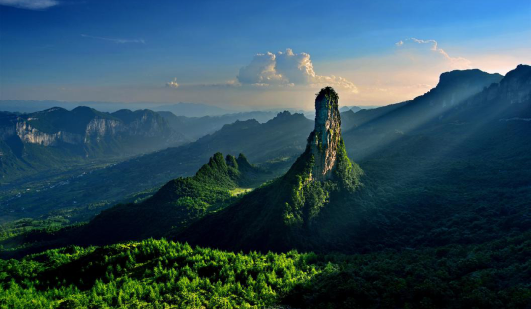 思慧益臣富硒青钱柳茶（思慧益臣富硒青钱柳茶）-硒宝网