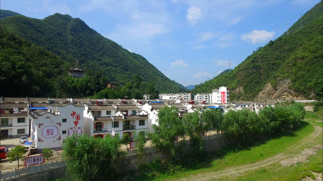 安康富硒茶百企进万家(陕西省安康市安家坪富硒茶)-硒宝网