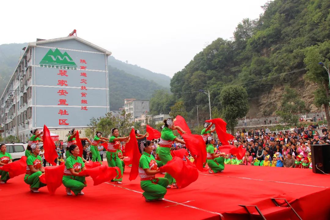 安康富硒茶百企进万家(陕西省安康市安家坪富硒茶)-硒宝网