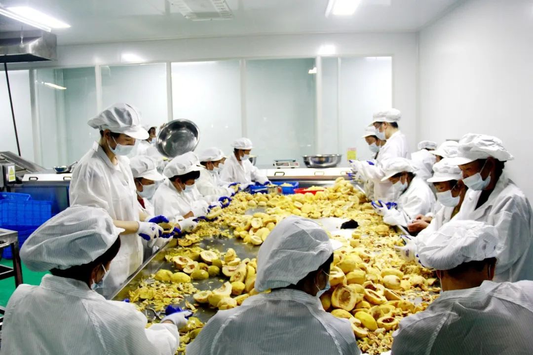 安康富硒茶百企进万家(陕西省安康市安家坪富硒茶)-硒宝网