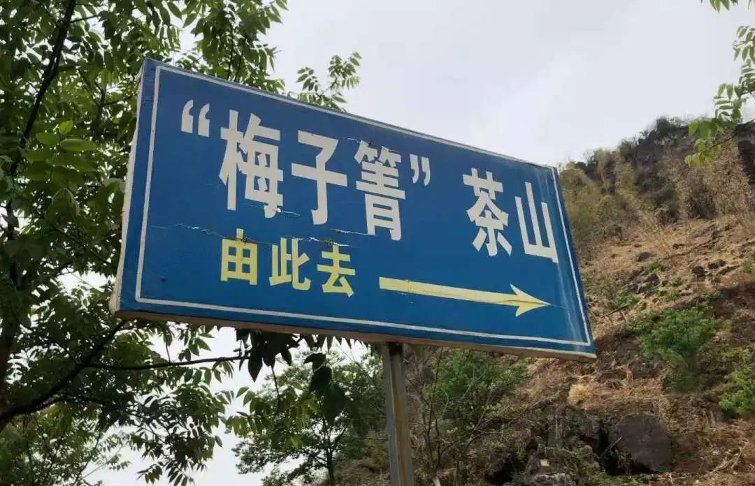 富硒茶是炒作出来的嘛(富硒茶是不是炒作)-硒宝网