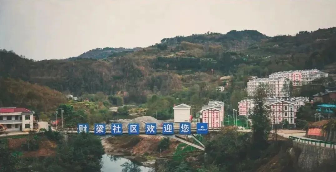 紫阳富硒茶多少钱一盒（紫阳富硒茶焕古茶价格）-硒宝网