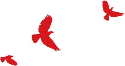 紫阳富硒茶多少钱一盒（紫阳富硒茶焕古茶价格）-硒宝网