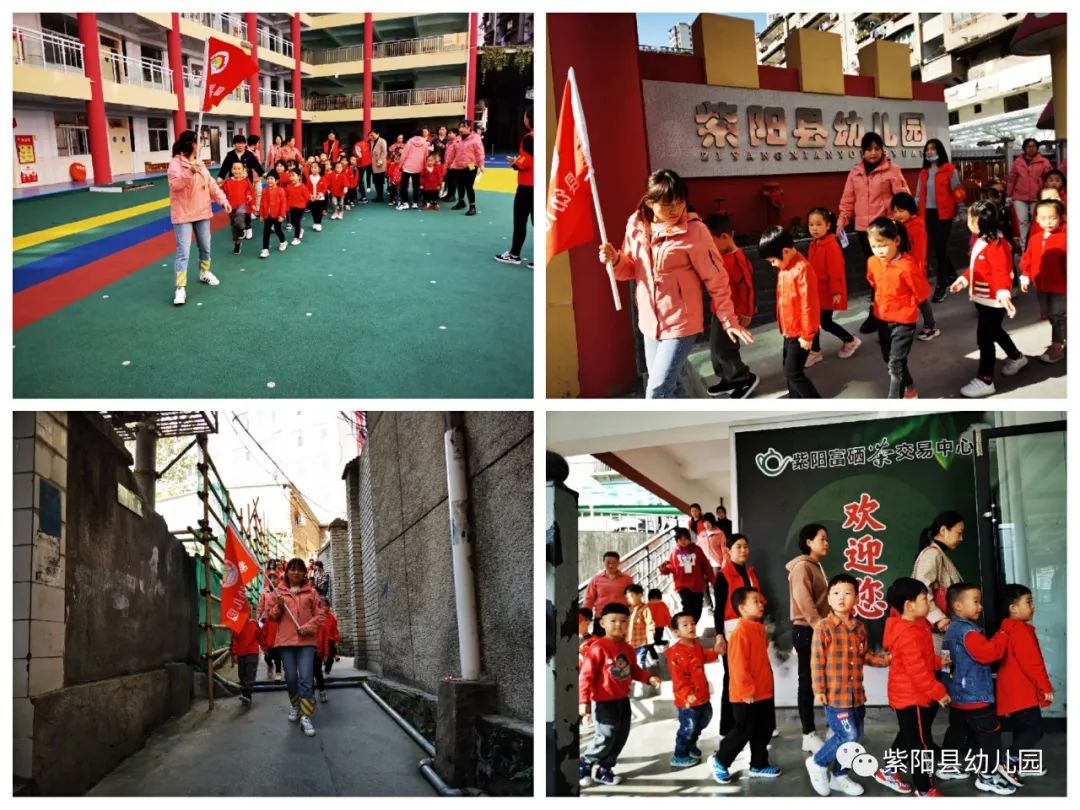 紫阳县富硒茶有哪几种(紫阳富硒茶茶树)-硒宝网