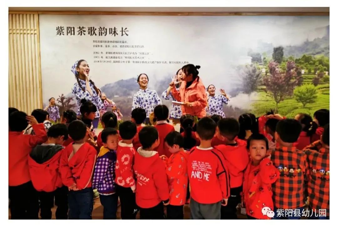 紫阳县富硒茶有哪几种(紫阳富硒茶茶树)-硒宝网