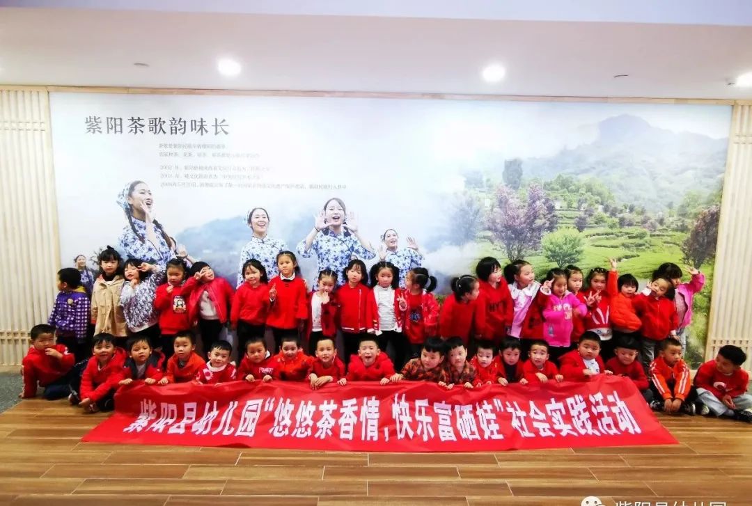 紫阳县富硒茶有哪几种(紫阳富硒茶茶树)-硒宝网